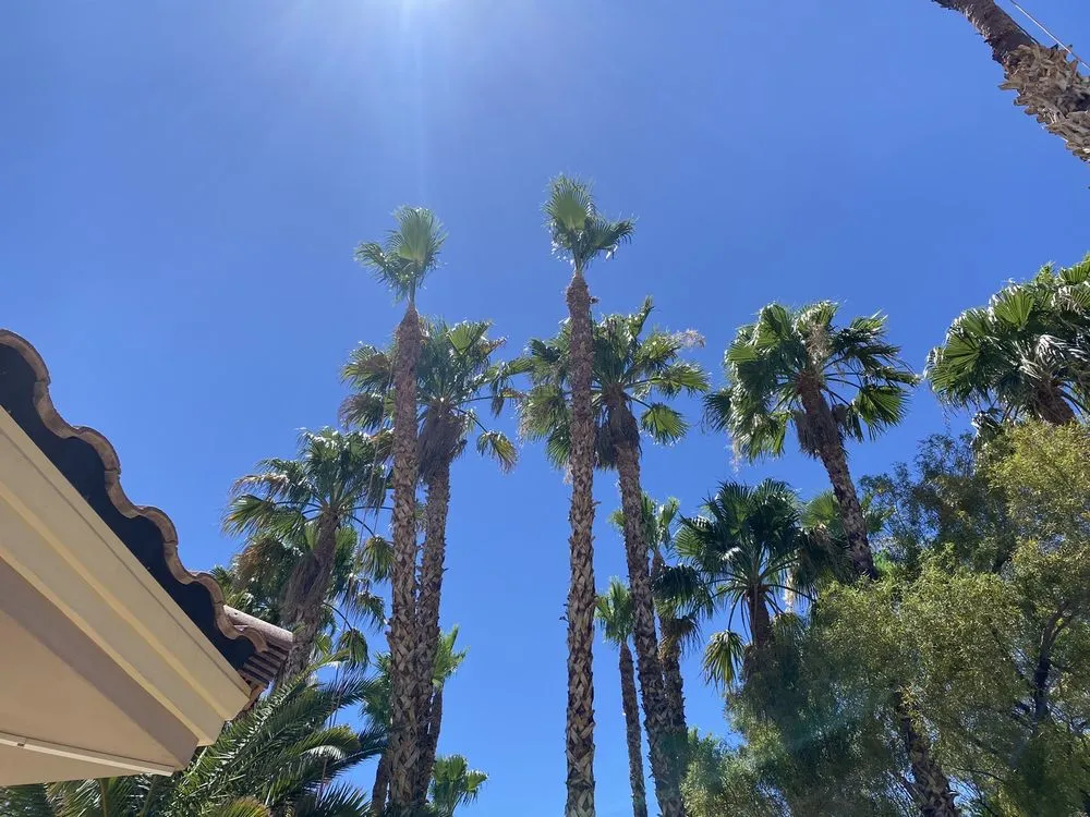 Reliable landscaping services in Las Vegas, NV - Greenview Landscape Service