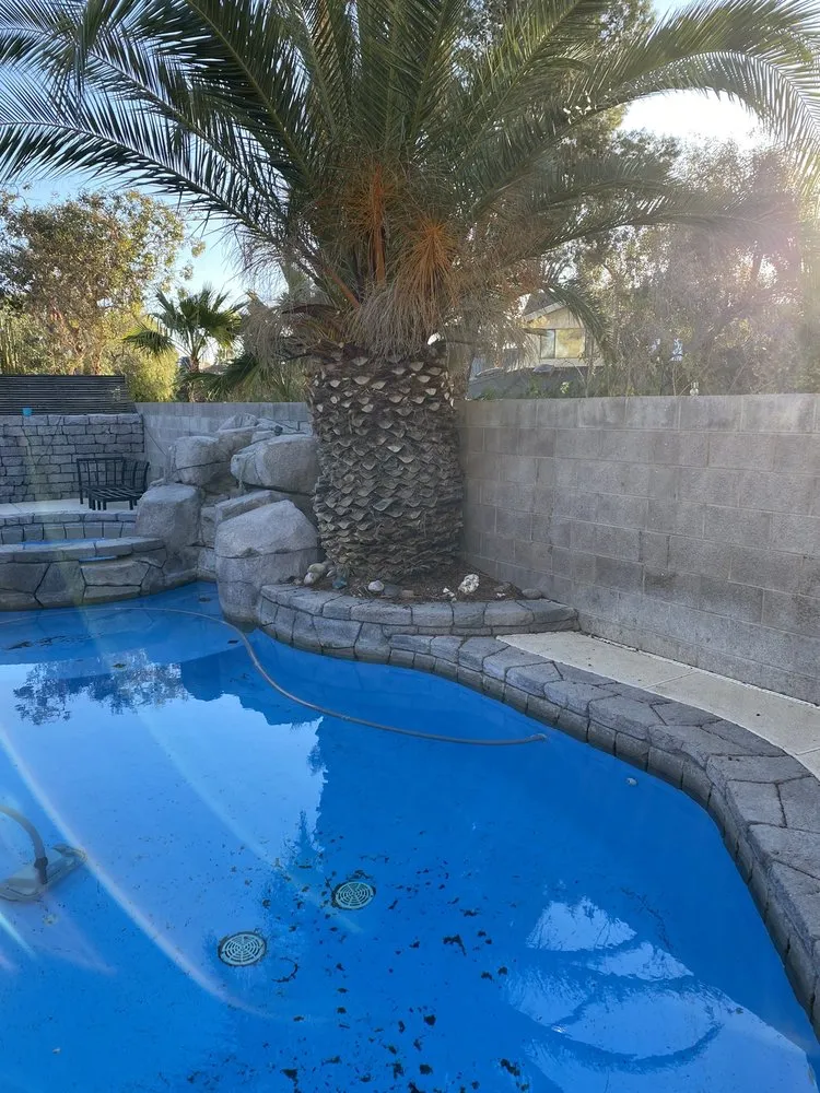 Affordable lawn care service with custom design in Las Vegas, NV by Greenview Landscape Service