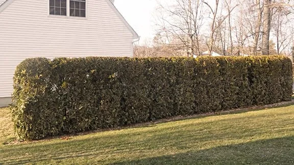 Affordable residential landscaping for residential properties in Ossining, NY by Greenview Landscaping & Sprinkler Systems