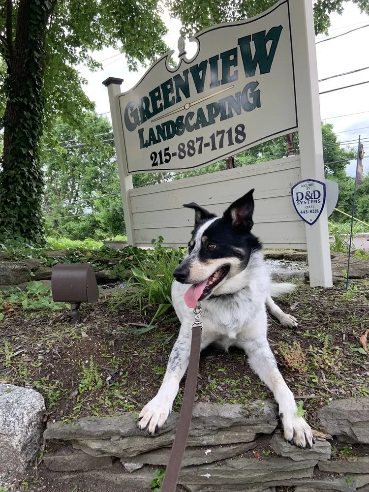 Expert residential landscaping experts serving Abington, PA - Greenview Landscaping