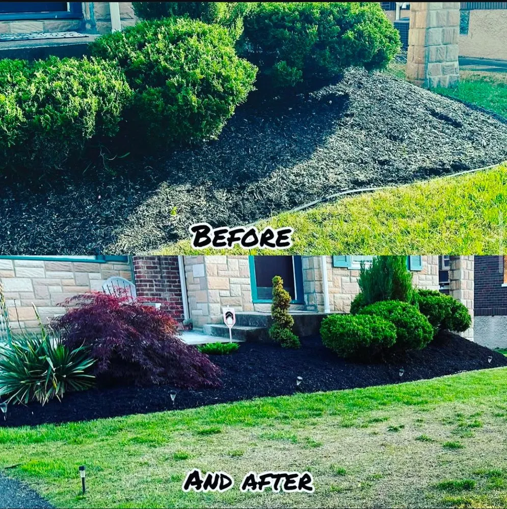 Custom yard cleanup service for beautiful yards across Cincinnati, OH - Greenview Landscaping
