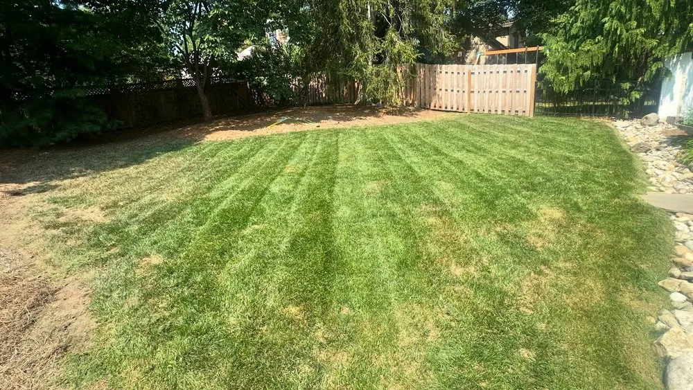 Custom yard cleanup service in Cincinnati, OH by Greenview Landscaping
