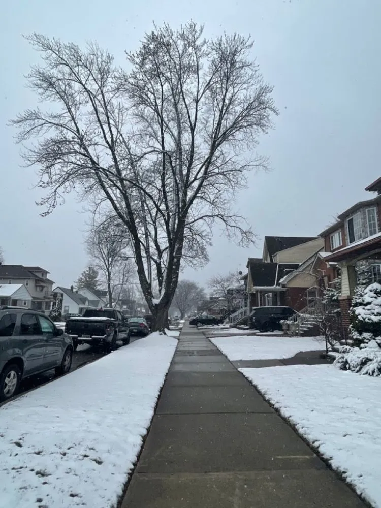 Top-rated outdoor landscaping near you across Columbus, OH - Greenview Landscaping