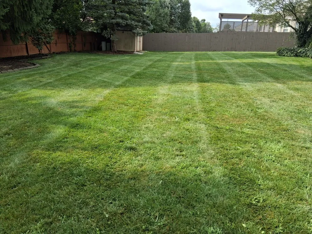 Expert lawn care service in Columbus, OH - Greenview Landscaping