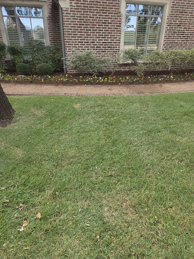 Local yard cleanup service experts serving Denton, TX - Greenview Landscaping