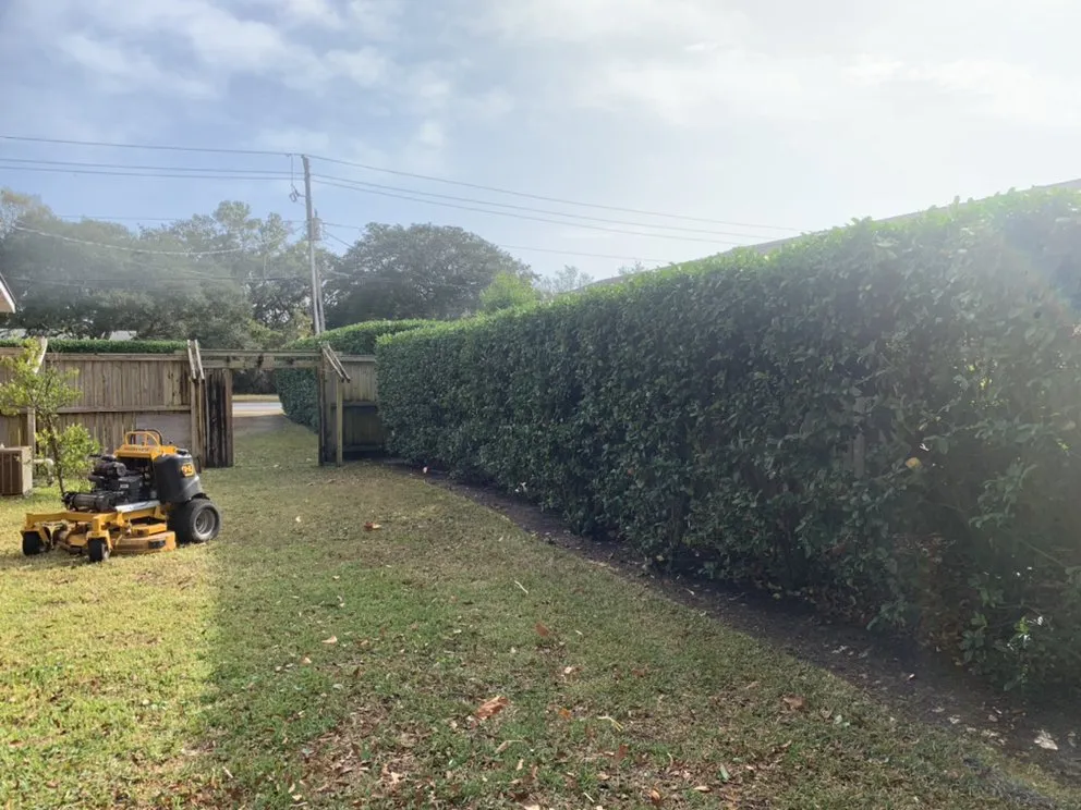Top-rated yard maintenance in Gulf Breeze, FL - Greenview Landscaping