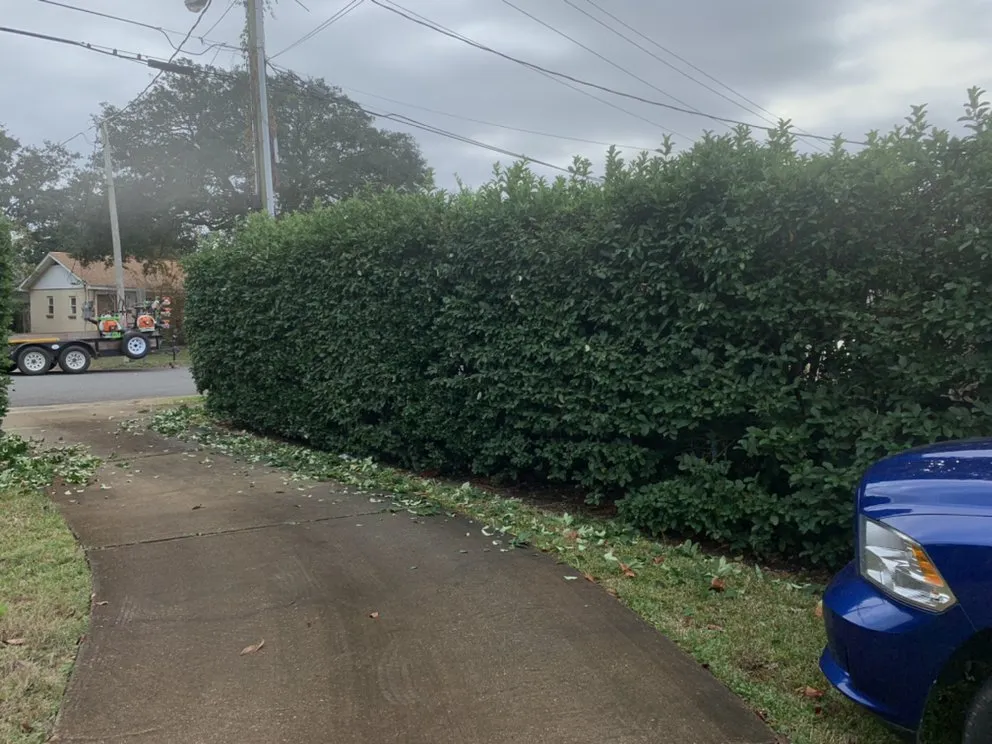 Affordable garden landscaping in Gulf Breeze, FL - Greenview Landscaping