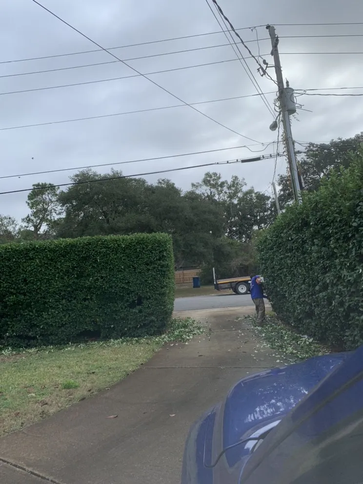 Reliable lawn care service for year-round maintenance in Gulf Breeze, FL by Greenview Landscaping