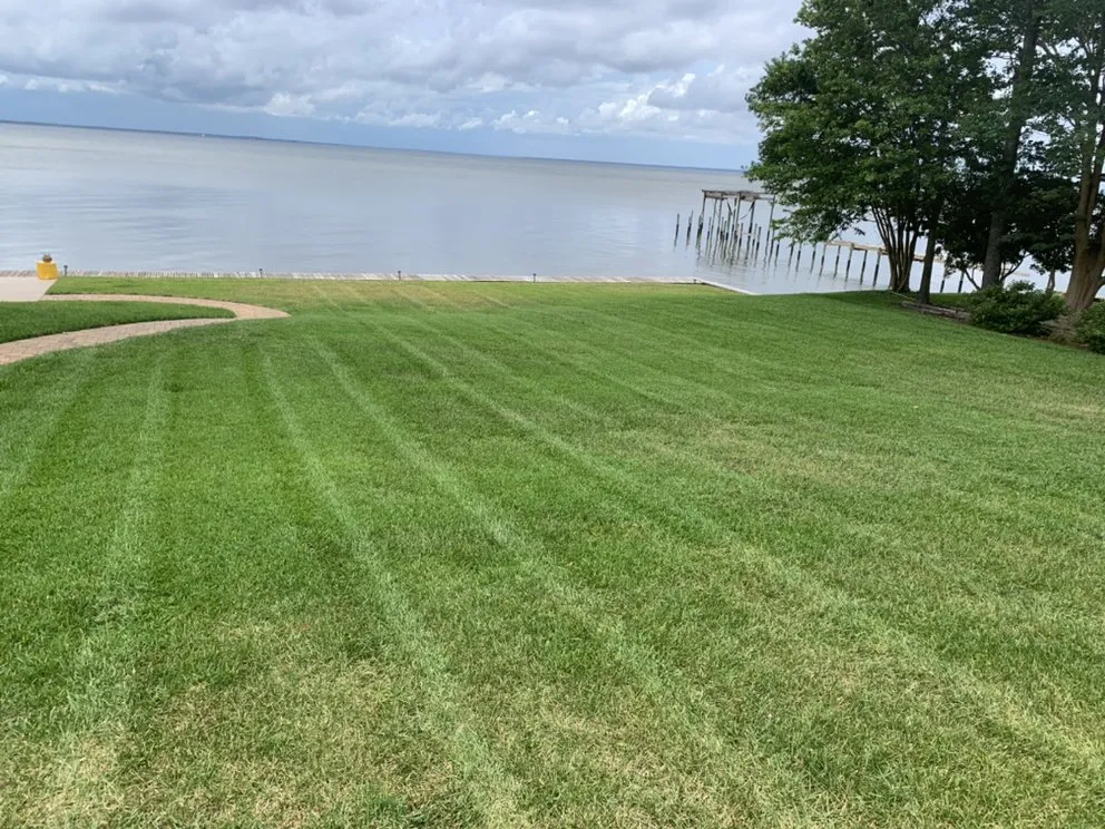 Top-rated lawn care service for beautiful yards across Gulf Breeze, FL - Greenview Landscaping