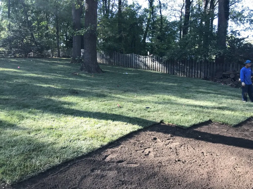 Expert outdoor landscaping in Manassas, VA - Greenview Lawn & Landscaping