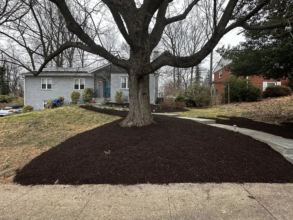 Professional outdoor landscaping near you in Manassas, VA by Greenview Lawn & Landscaping