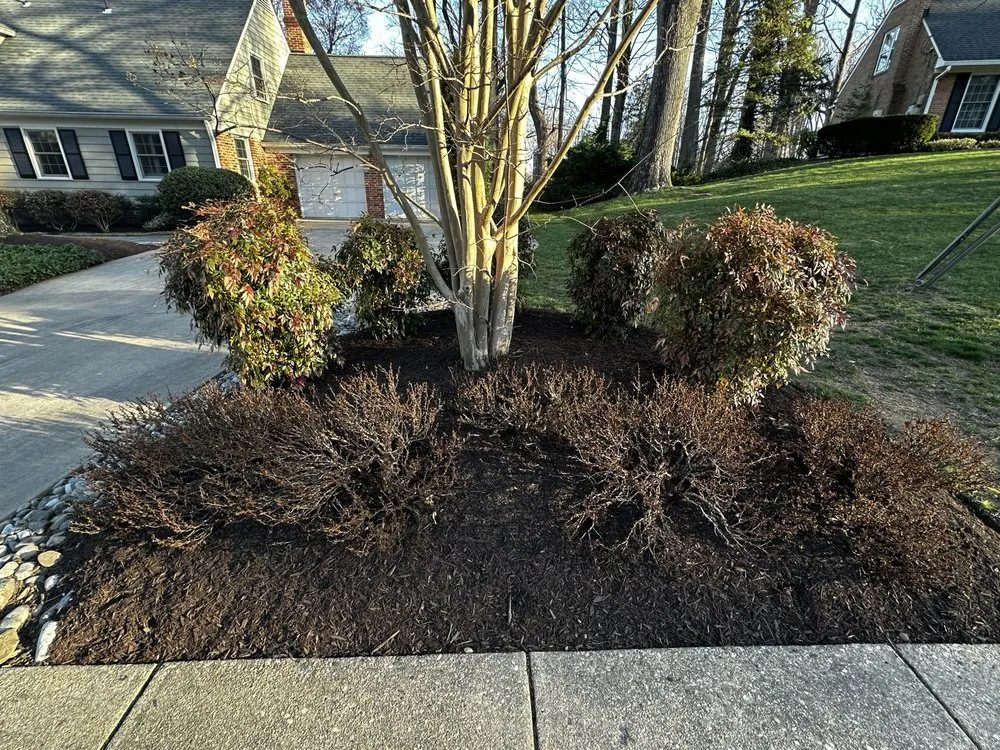 Expert landscaping services in Manassas, VA - Greenview Lawn & Landscaping