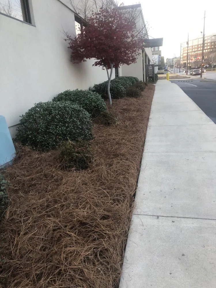 Reliable yard maintenance experts serving Macon, GA - GreenView Lawn and Landscape