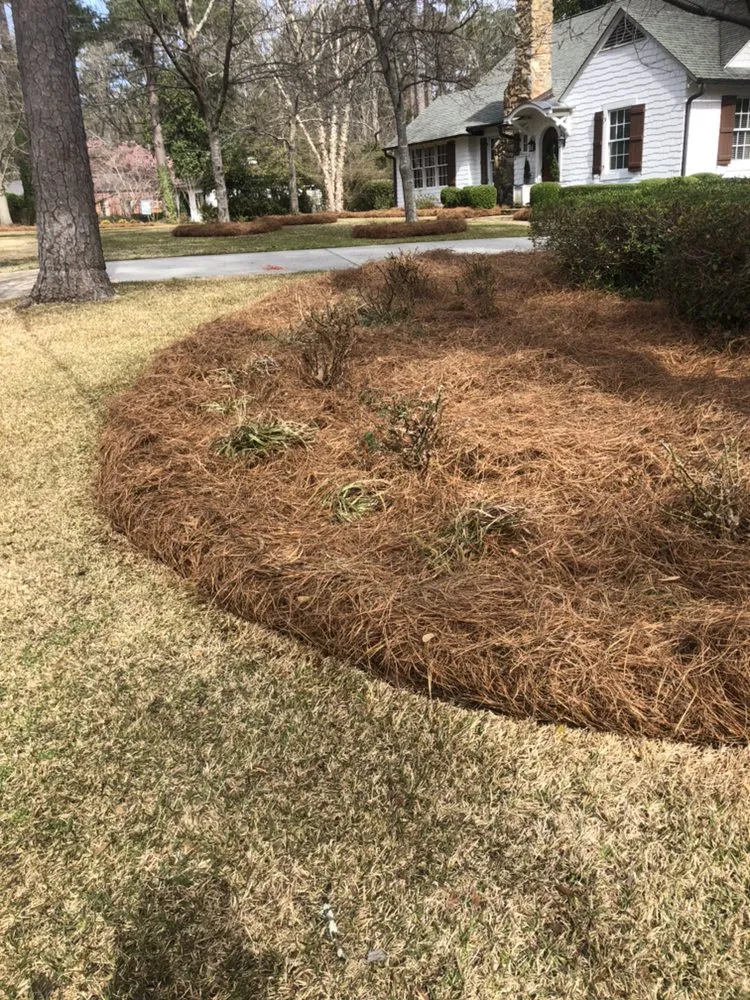 Trusted yard cleanup service experts serving Macon, GA - GreenView Lawn and Landscape