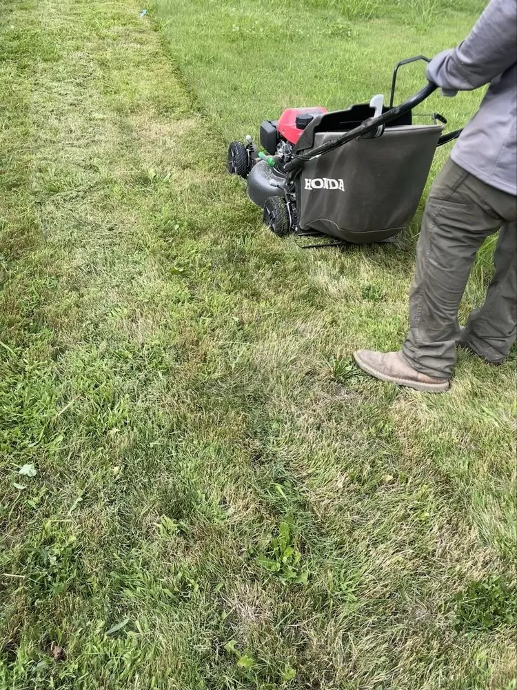 Trusted yard cleanup service experts serving Grants Pass, OR - Greenview Lawncare