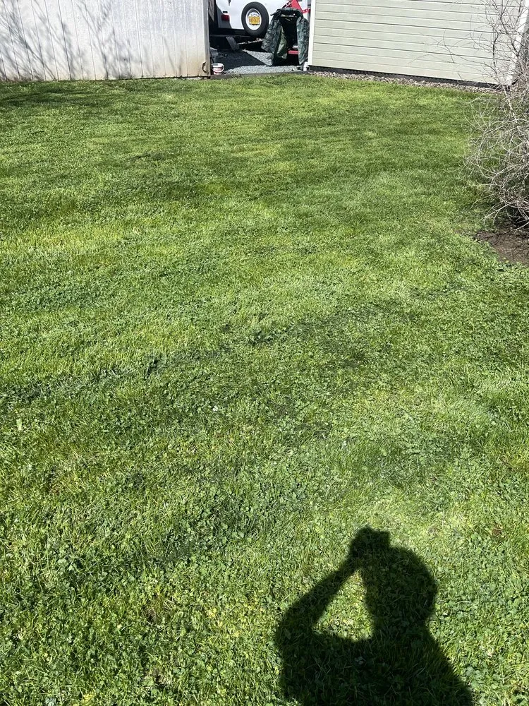 Affordable landscaping services experts serving Grants Pass, OR - Greenview Lawncare