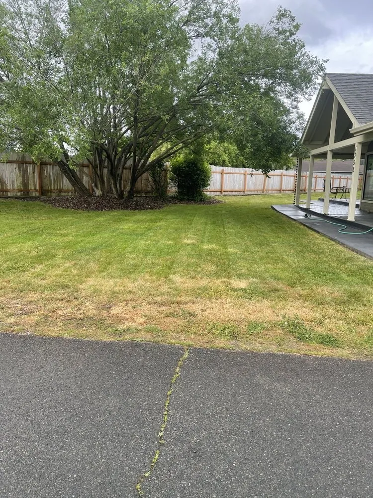 Local lawn care service experts serving Grants Pass, OR - Greenview Lawncare