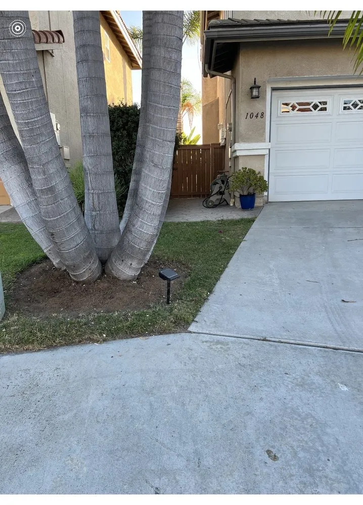 Affordable landscape installation in San Diego, CA - Greenview