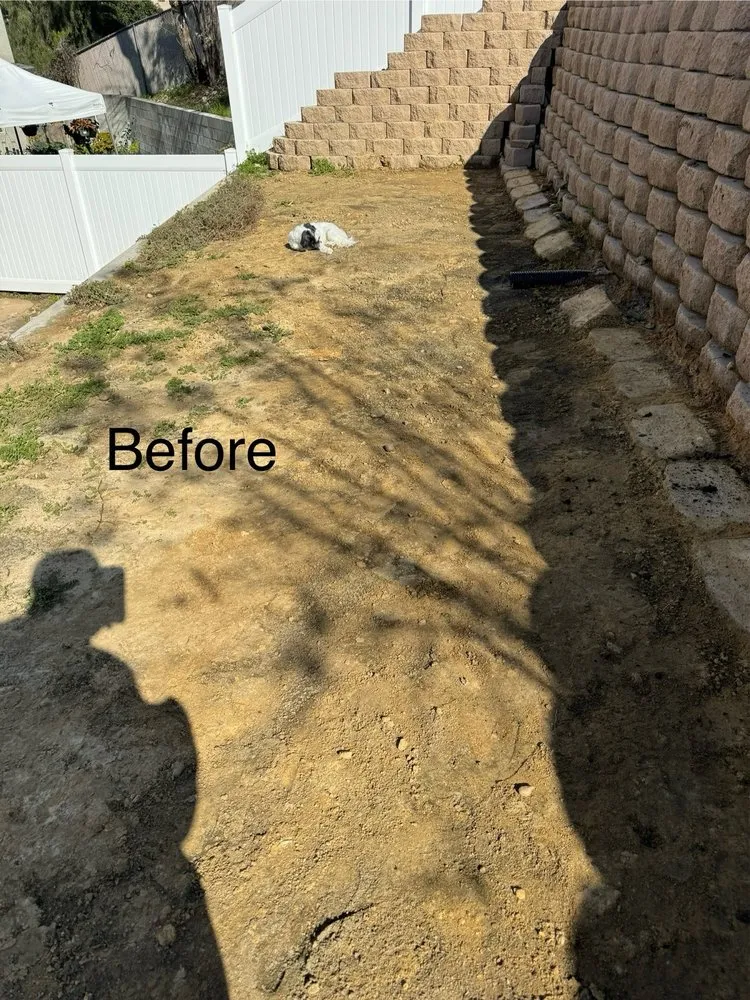 Expert landscape installation in San Diego, CA - Greenview