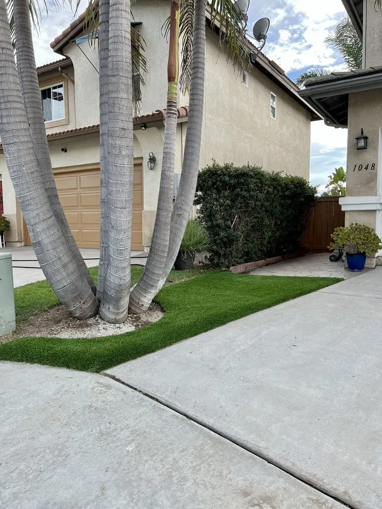 Reliable lawn care service for homes in San Diego, CA by Greenview