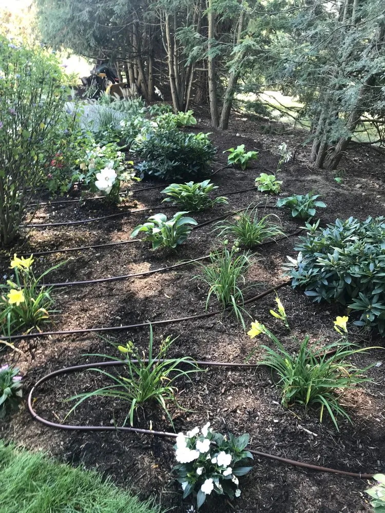 Top-rated outdoor landscaping for homes in Waltham, MA by Greenview Services