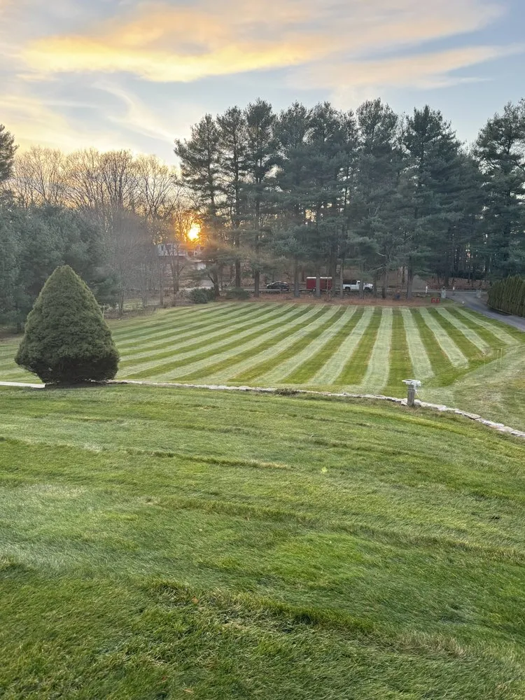 Top-rated landscaping services in Waltham, MA - Greenview Services