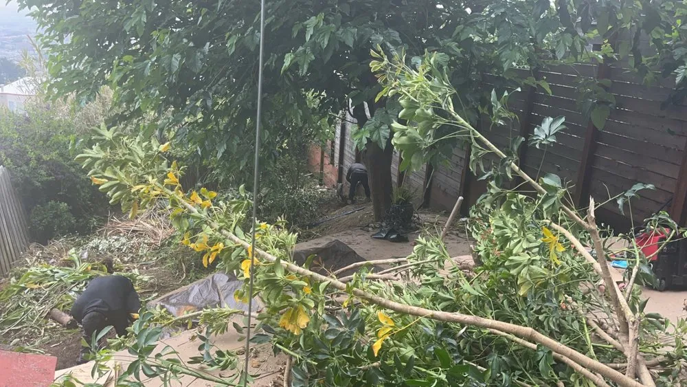 Trusted landscape design for year-round maintenance in San Francisco, CA by Greenviews Landscaping Construction