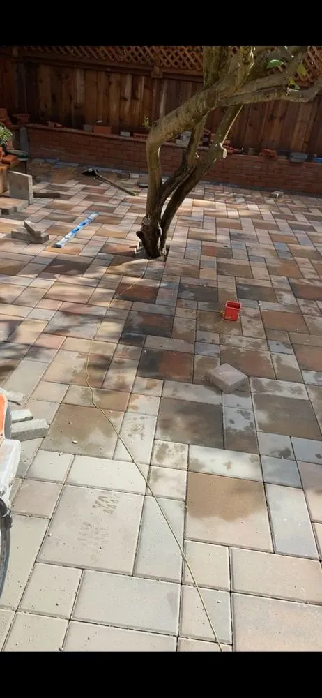 Professional garden landscaping with custom design in San Francisco, CA by Greenviews Landscaping Construction