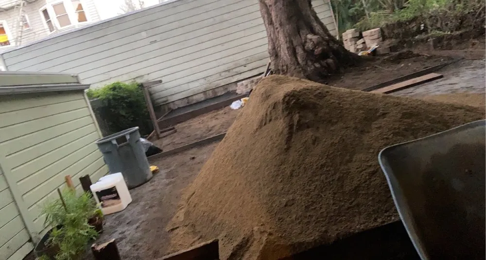 Custom lawn care service in San Francisco, CA - Greenviews Landscaping Construction