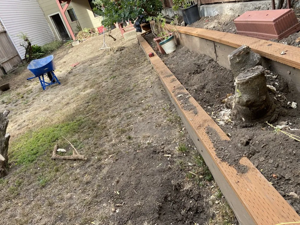 Affordable landscape installation in San Francisco, CA by Greenviews Landscaping Construction