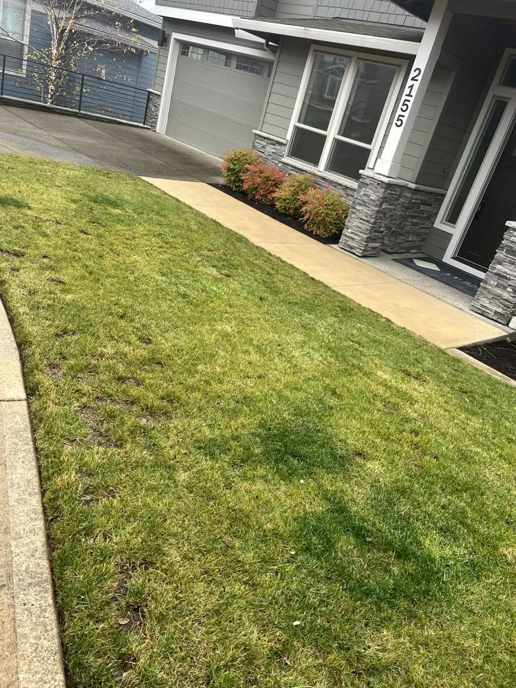 Professional landscape installation in Salem, OR by Greenville Landscape Services