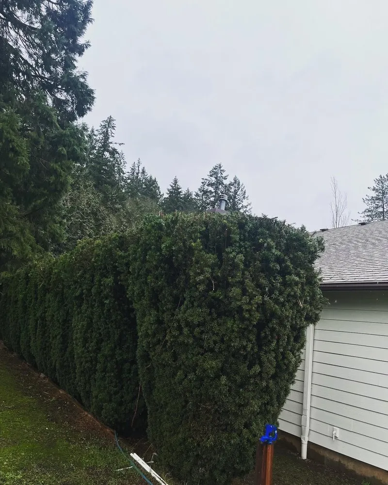 Professional landscape design for year-round maintenance in Salem, OR by Greenville Landscape Services