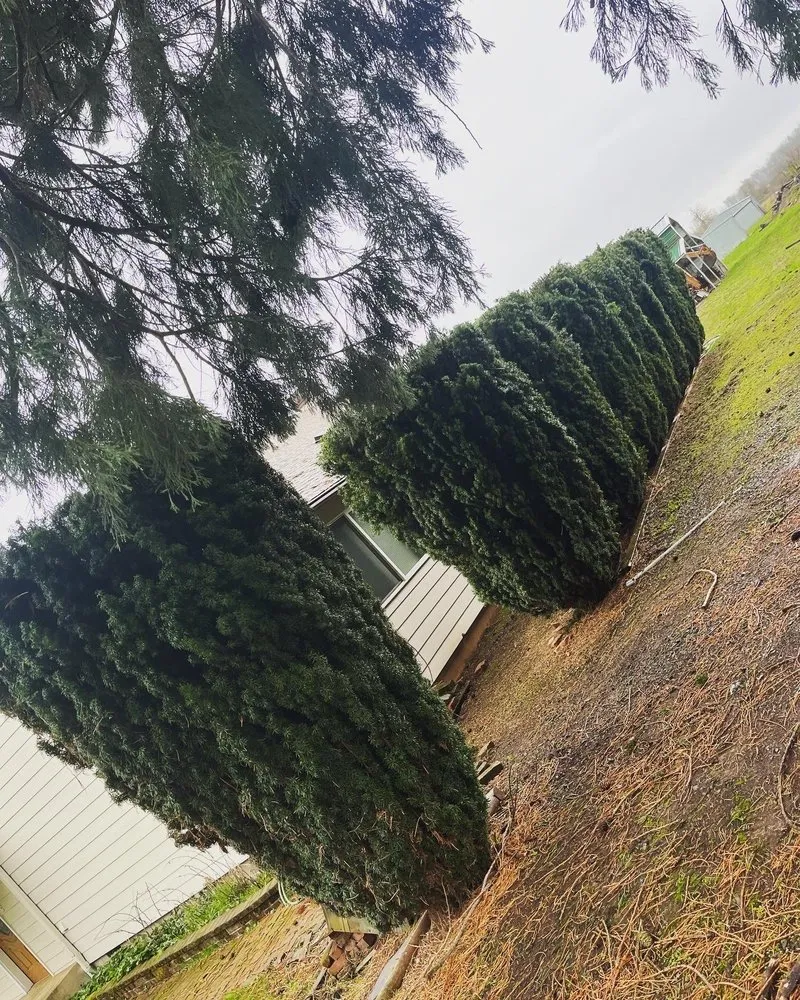 Professional lawn mowing service for homes in Salem, OR by Greenville Landscape Services