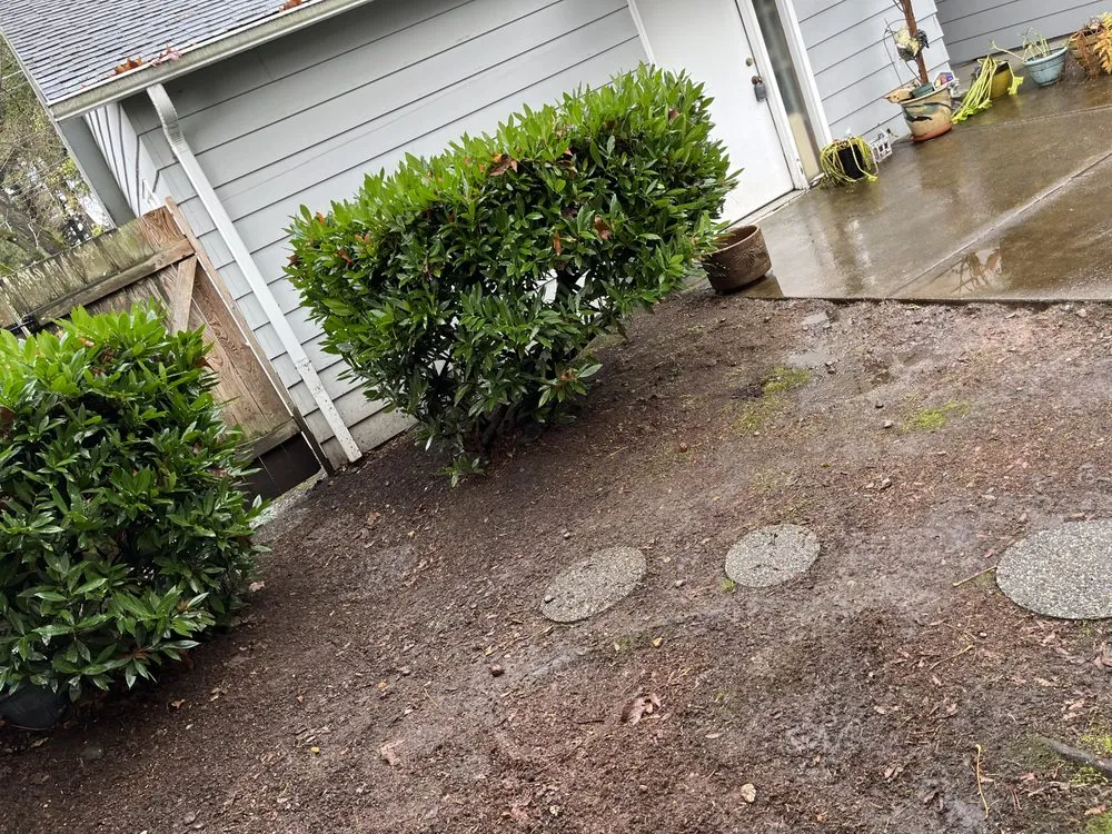 Trusted landscape installation for beautiful yards in Salem, OR by Greenville Landscape Services