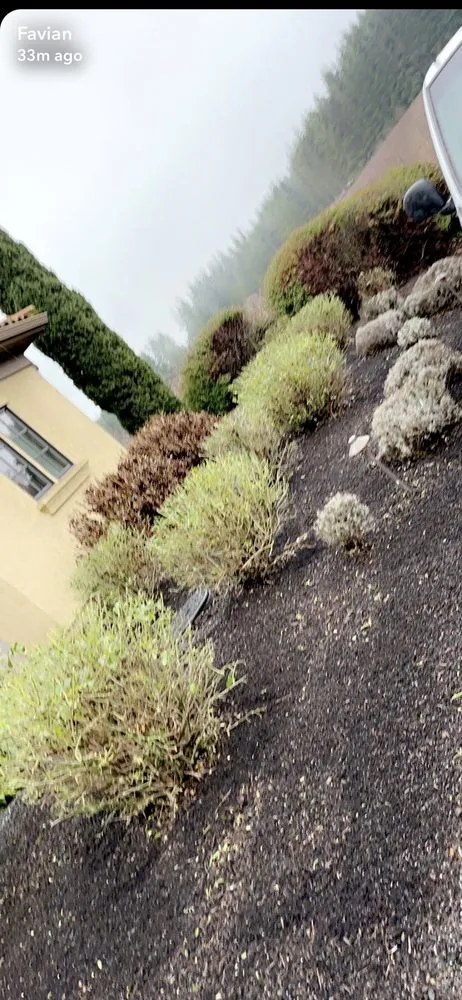 Local landscape installation with custom design in Salem, OR by Greenville Landscape Services