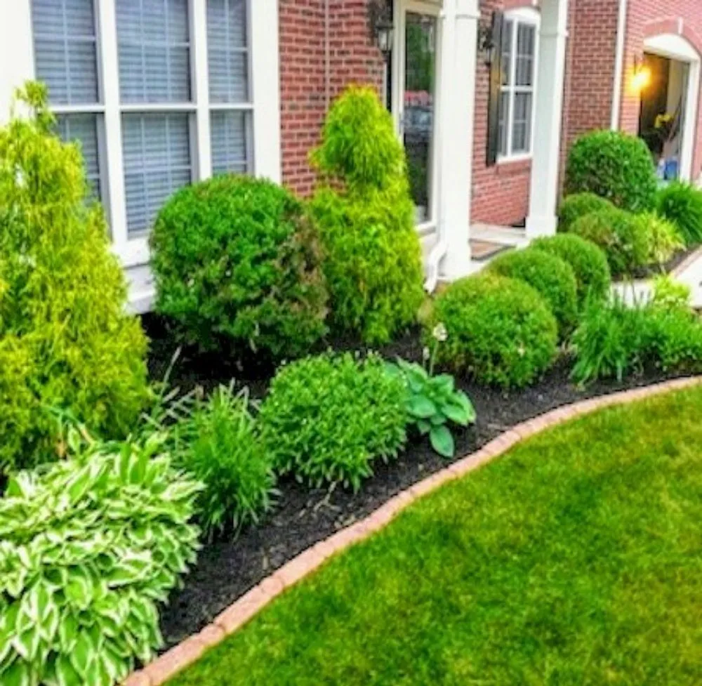 Trusted yard maintenance with custom design in Dearborn, MI by Greenville Landscaping