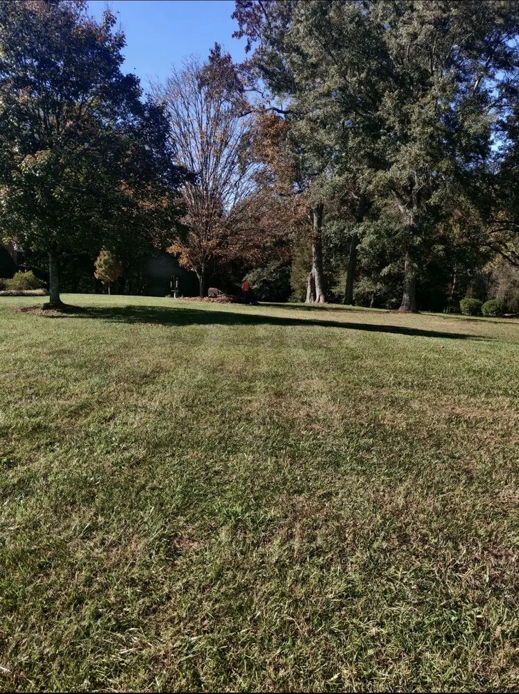 Trusted lawn mowing service in Greenville, SC - Greenville Landscaping Near Me