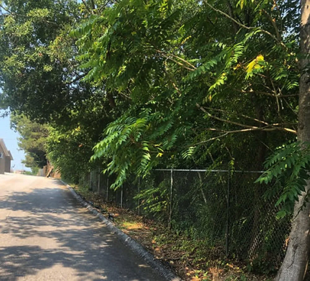 Top-rated residential landscaping in Greenville, SC by Greenville Landscaping Near Me