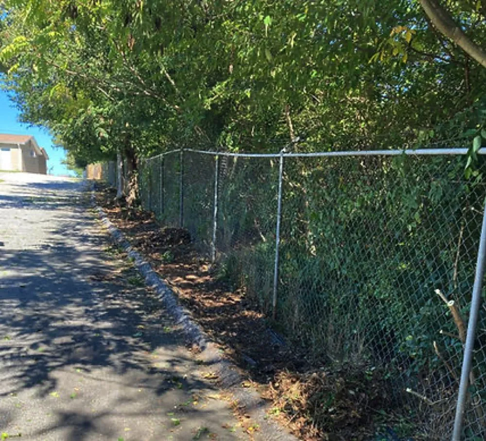 Affordable landscape installation in Greenville, SC by Greenville Landscaping Near Me