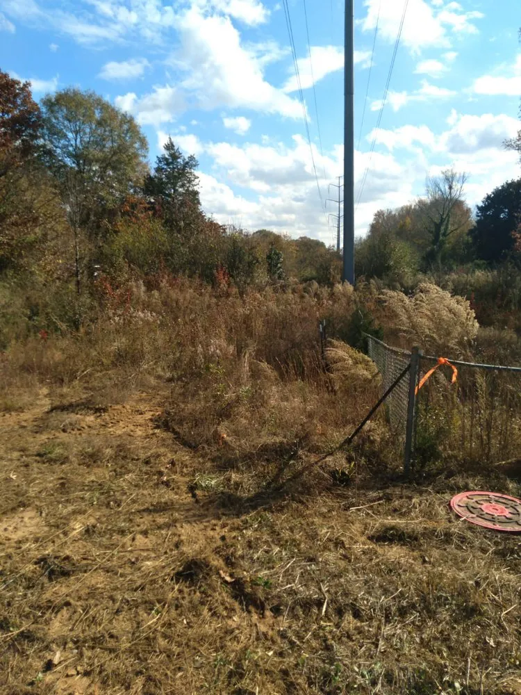 Top-rated outdoor landscaping experts serving Greenville, SC - Greenville Landscaping Near Me