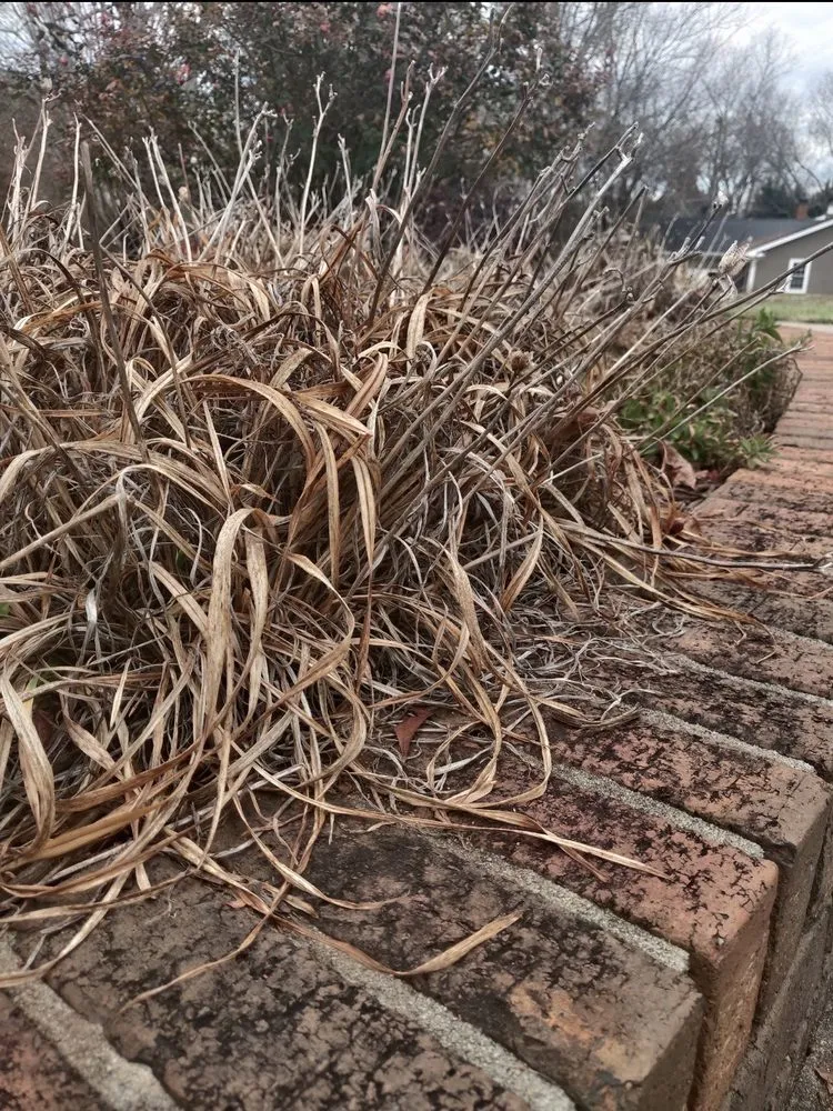 Professional outdoor landscaping for beautiful yards across Greenville, SC - Greenville Landscaping Near Me