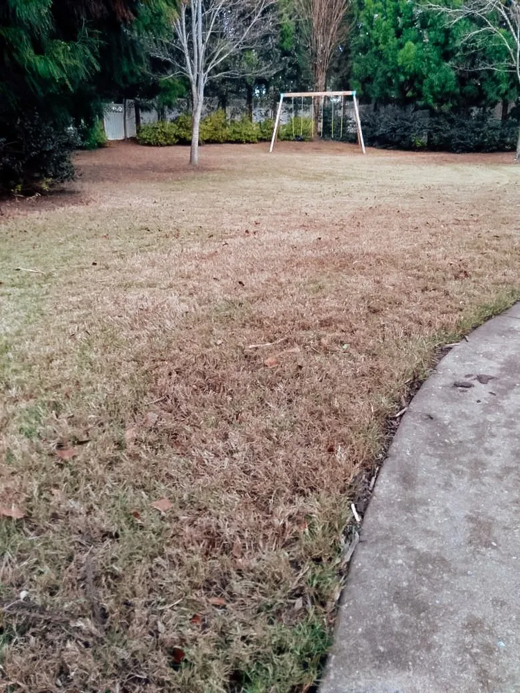 Custom lawn mowing service experts serving Greenville, SC - Greenville Landscaping Near Me