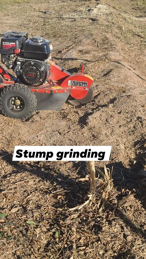 Top-rated residential landscaping for beautiful yards in Greenville, TX by Greenville lawn care & Tree Services