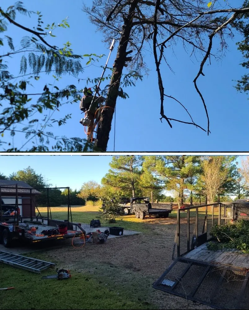 Custom landscaping services in Greenville, TX - Greenville lawn care & Tree Services