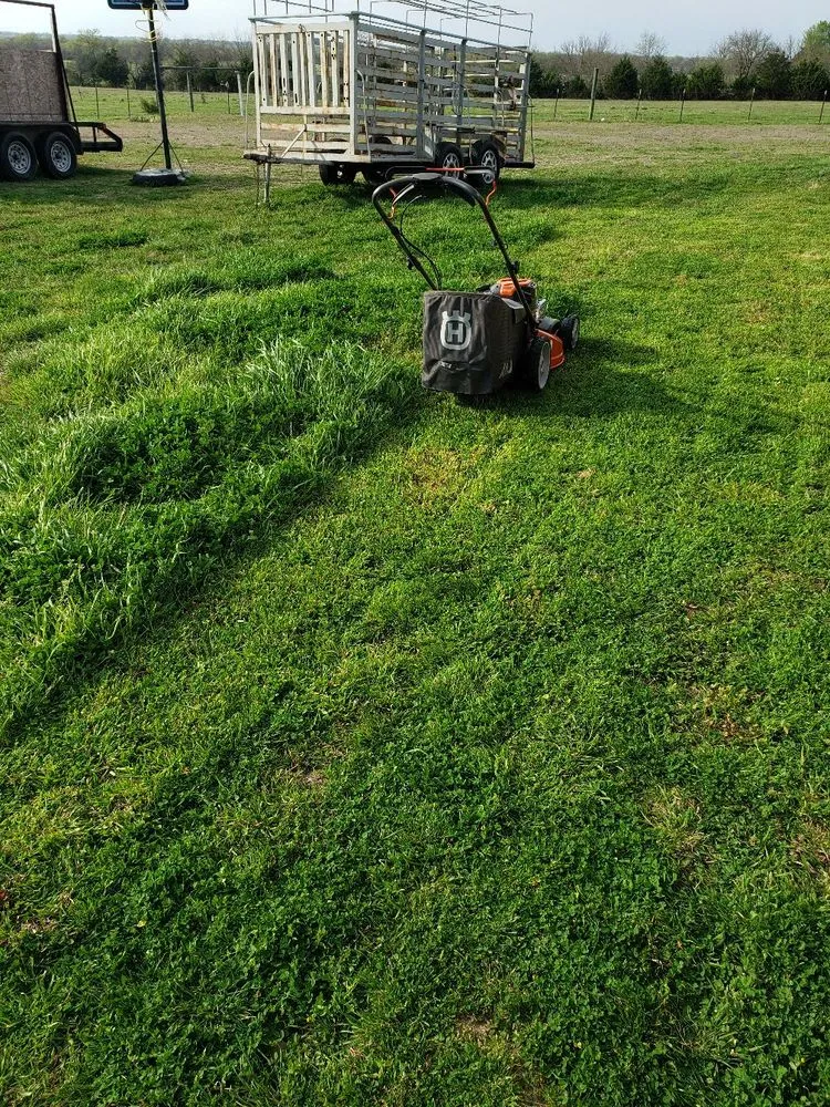 Professional landscape installation in Greenville, TX by Greenville lawn care & Tree Services