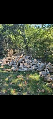 Greenville lawn care & Tree Services