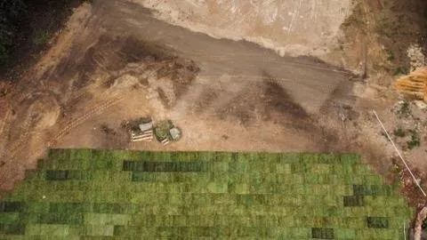 Custom landscape design experts serving Greenville, SC - Greenville Outdoor Living