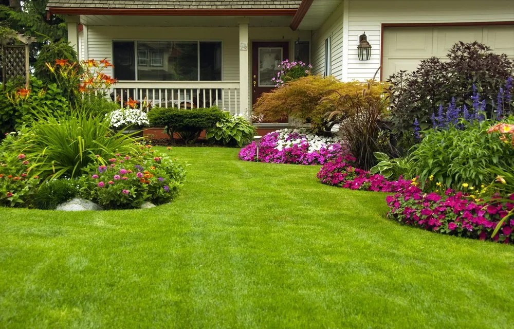 Expert lawn mowing service in Greenville, SC - Greenville Scapes