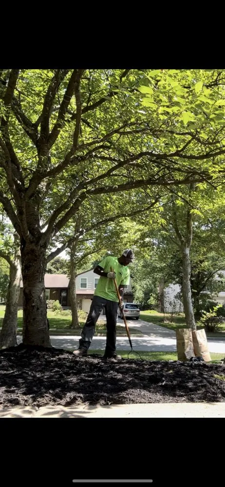 Professional garden landscaping experts serving Daniels, MD - GreenVision Contracting