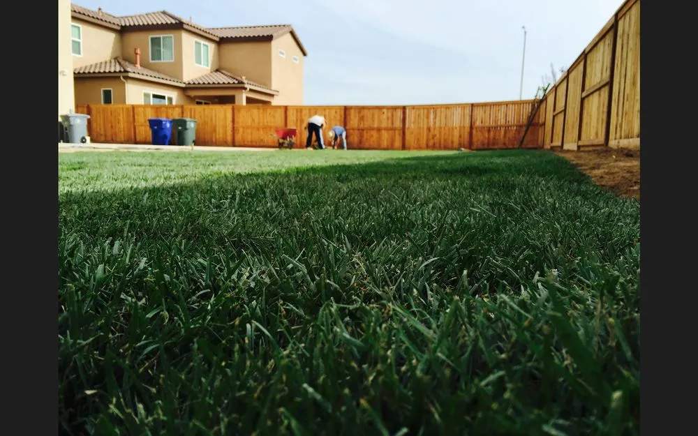 Expert outdoor landscaping experts serving Fresno, CA - GreenVision Landscaping